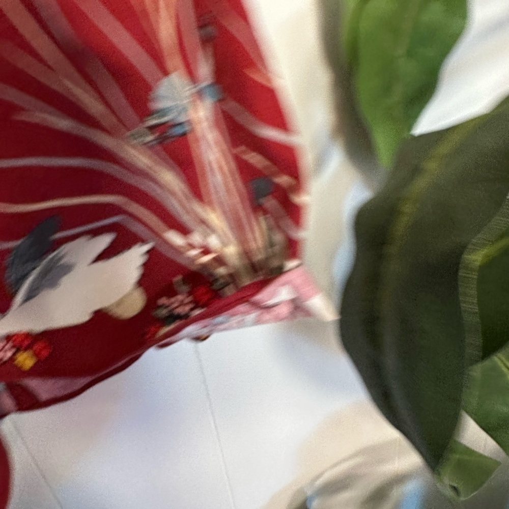 Burgundy Women’s Swan Skirt Size Small - Picture 6 of 10